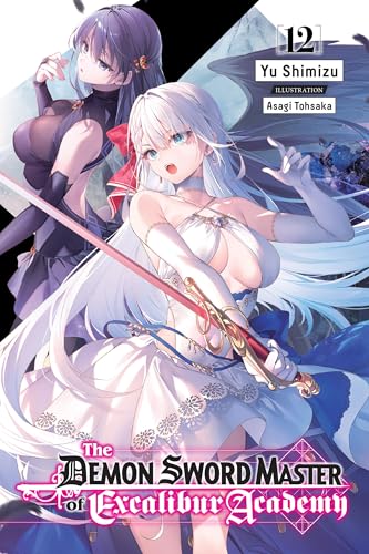 Light novel cover with two anime-style girls and swords.