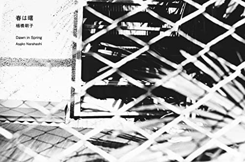 Book cover, "Dawn in Spring", with a wire fence foreground.