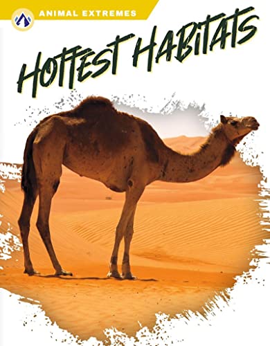 Book cover featuring a camel in a desert landscape.