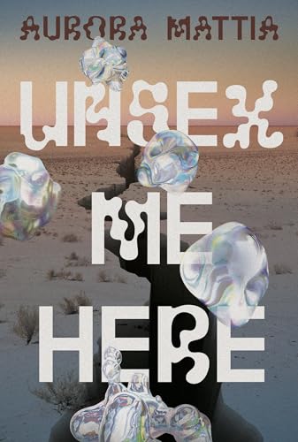 Book cover with iridescent orbs and large, fragmented title text.