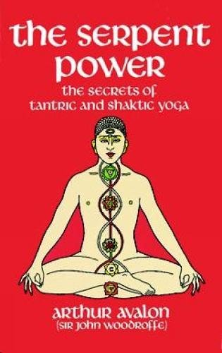 Book cover depicting a seated figure with chakra symbols along the spine.