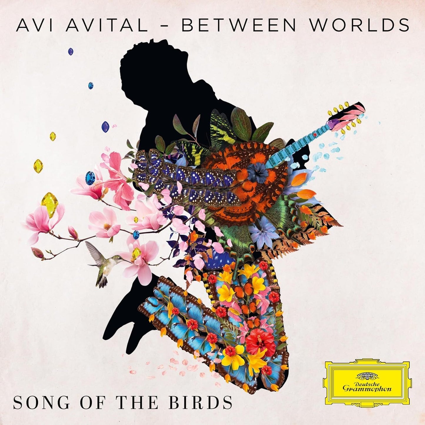 CD cover: silhouette of a guitarist adorned with flowers and birds.