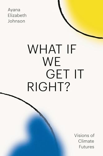 Book cover with bold text and abstract blue and yellow shapes.
