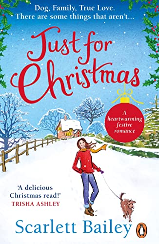 Book cover: woman walking a dog in a snowy, festive landscape.