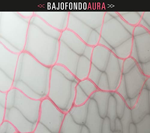 Bajofondo Aura CD cover with a pink net pattern on white.