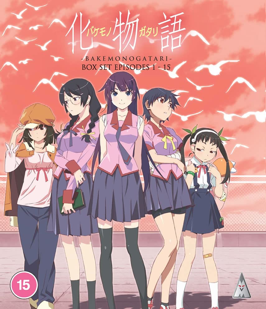 Five anime girls standing against a pink sunset sky with flying birds.