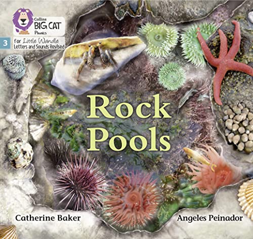 Book cover depicting a colorful rock pool scene with marine life.