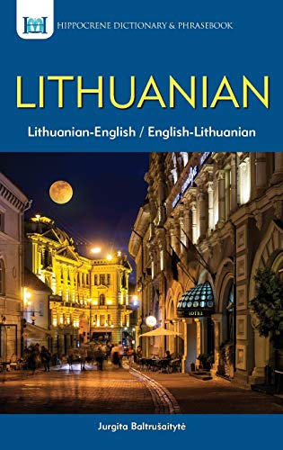 Lithuanian-English dictionary cover with a nighttime city street scene.