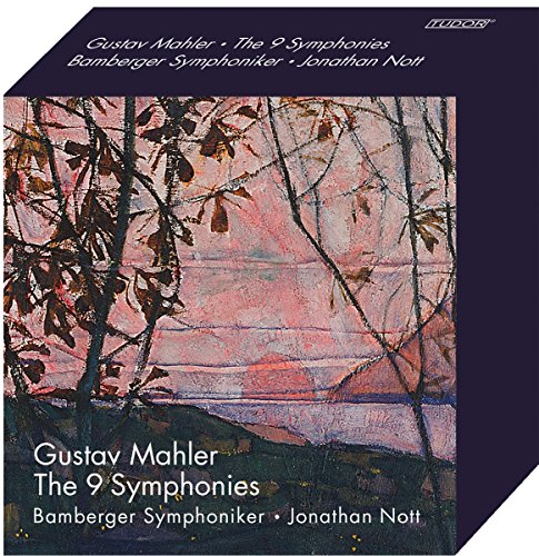"CD cover with abstract painting of trees and pink sky, white text on dark border."