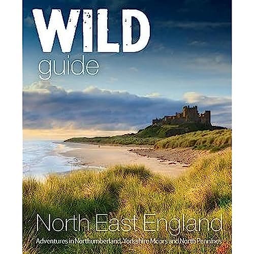 Book cover showing a coastal castle, beach, and grassy dunes in North East England.