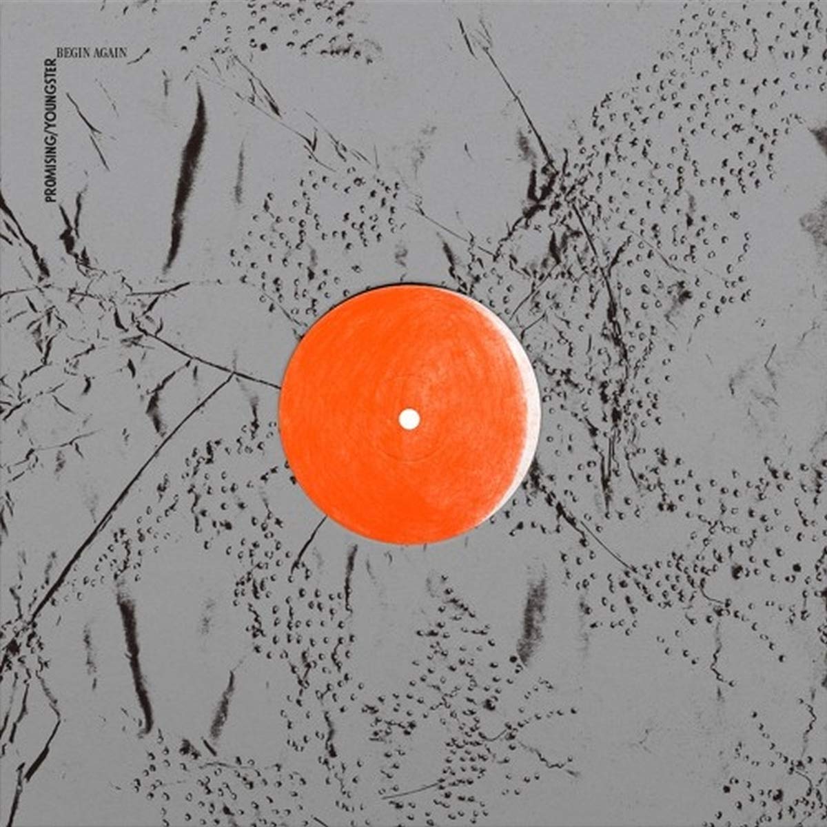 Vinyl record cover featuring a bright orange center label against a grey textured background.