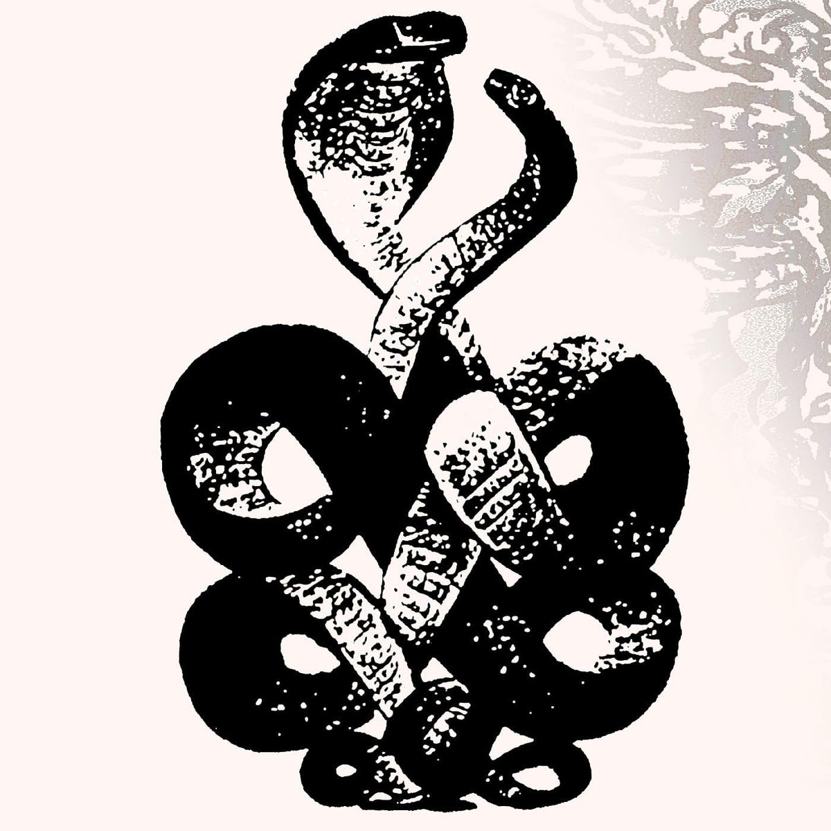 Two vinyl LPs by Bardo Pond, likely in black sleeves, with a barcode.