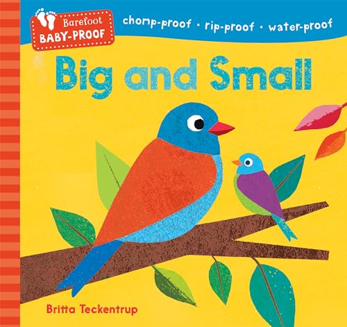 Colorful children’s book cover, “Big and Small,” featuring birds on a branch.