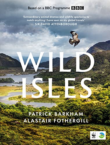 Book cover for āWild Islesā featuring a golden eagle over a landscape.