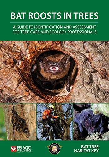 Book cover featuring a bat in a tree cavity, with smaller related images.