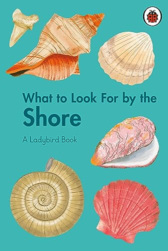 Book cover with illustrations of various seashells and a shark tooth.