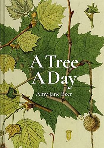 Book cover titled A Tree A Day featuring botanical illustrations of green maple leaves.