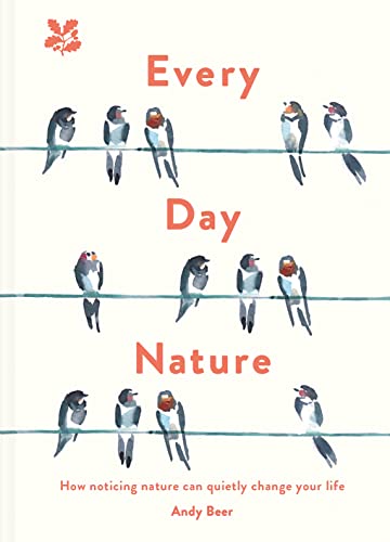 Book cover with watercolor birds on telephone wires and the title Every Day Nature.
