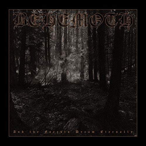 Dark forest scene on vinyl album cover with "Behemoth" and "And the Forests Dream Eternally" text.