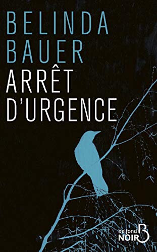Book cover: dark background, blue text, and a silhouette of a bird.