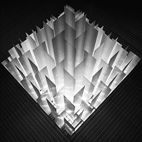 Black and white abstract image of vertical metallic panels arranged in a grid pattern.