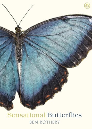 Blue butterfly illustration with title "Sensational Butterflies" below.