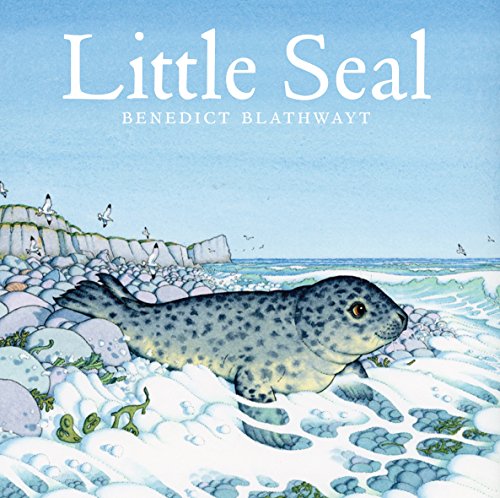 Illustrated book cover showing a spotted seal on a rocky beach by the sea.