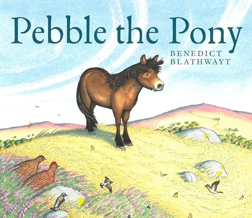 A brown pony stands on a grassy hill in this illustrated children's book cover.