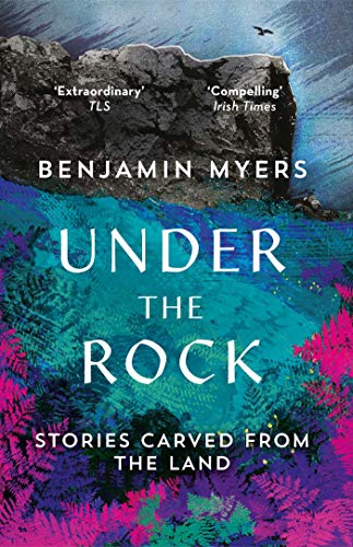 Book cover featuring a large rock formation above a vibrant landscape of colorful ferns.