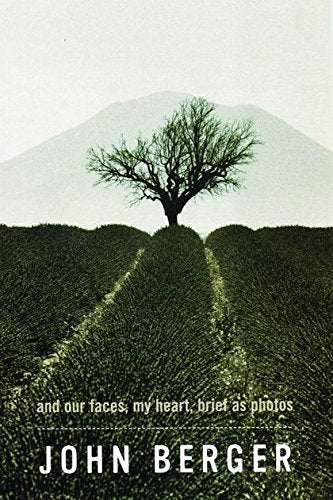 A lone tree stands above a field with a mountain in the background.