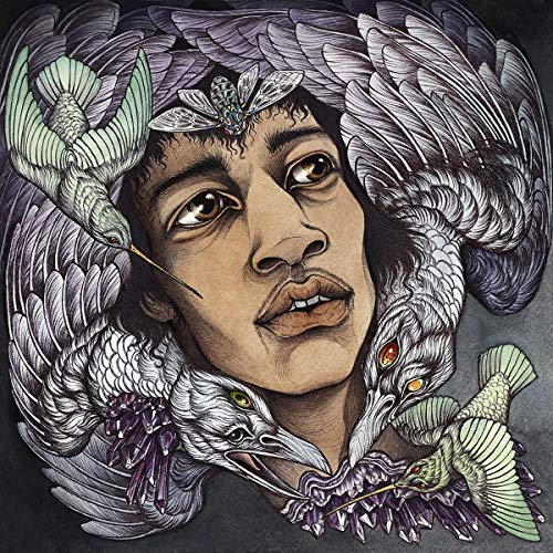 Jimi Hendrix portrait with illustrated birds and feathered halo.