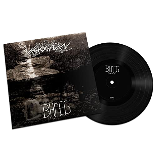 Vinyl record and album cover featuring dark, moody forest artwork and stylized text.