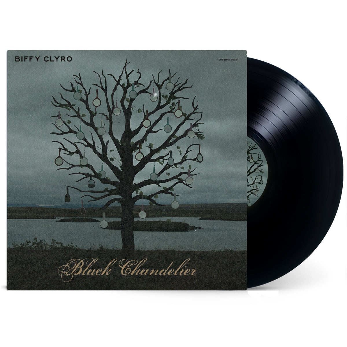 Biffy Clyro vinyl record with a tree and hanging ornaments image.