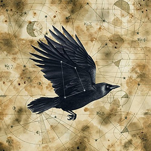 Black raven flying over a vintage map with celestial diagrams.