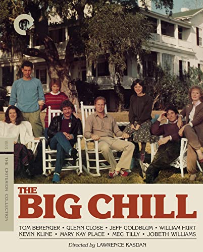 Movie poster for "The Big Chill" featuring a group seated on a lawn.