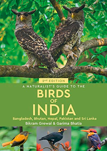 Book cover featuring two owls on a branch above three smaller colorful birds.