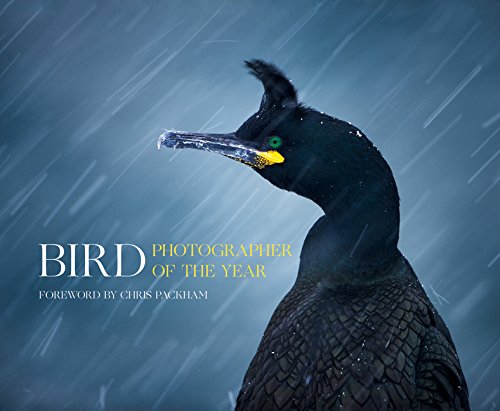 Book cover featuring a cormorant in the rain, titled “Bird Photographer of the Year.”