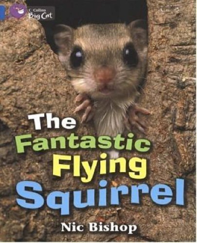 Close-up of a flying squirrel clinging to bark, book cover.
