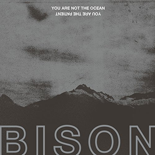 CD cover for Bison’s “You Are Not The Ocean You Are The Patient.”