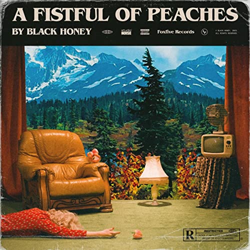 CD cover: armchair, mountains, and vintage television in a room setting.
