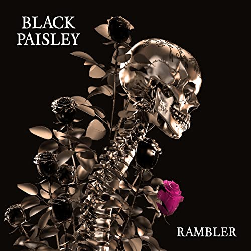 CD cover: metallic skull with roses and leafy stem, dark background.