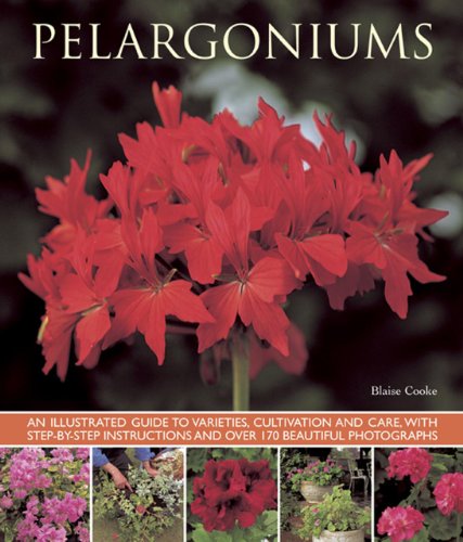 Book cover featuring vibrant red pelargoniums, a guide to growing them.