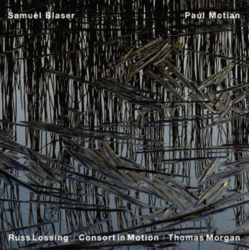 CD cover with abstract black and white line art resembling reeds.