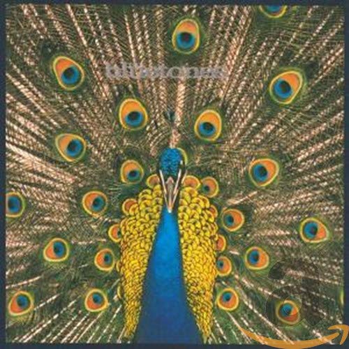 CD cover for Bluetones’ “Expecting To Fly” featuring a peacock’s plumage.