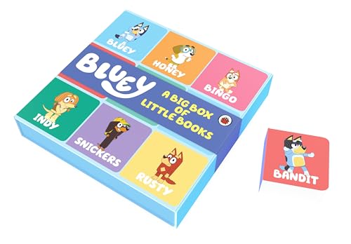 Bluey's "Big Box of Little Books" with character illustrations.