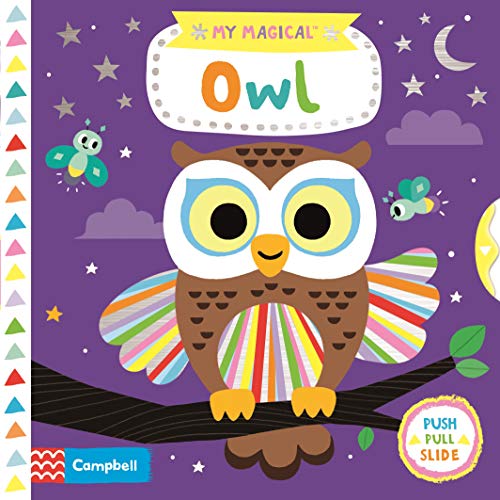 Colorful illustrated children’s book cover featuring a wide-eyed owl.