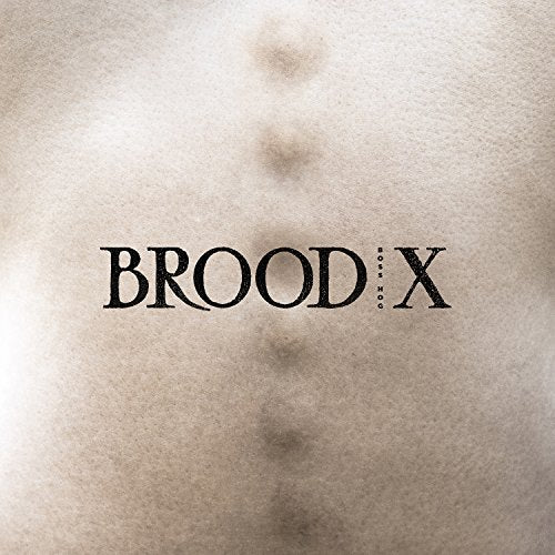 The image depicts a beige background with the text "BROOD X" in black. For accessibility purposes, a suitable alt text could be: "A beige vinyl record cover with 'BROOD X' written in black."