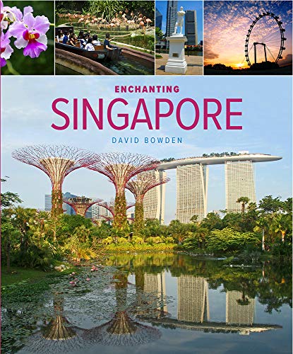 Book cover featuring Singapore landmarks, Gardens by the Bay, and cityscapes.