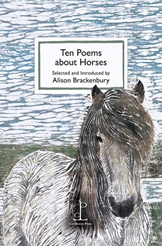 Book cover featuring a stylized drawing of a horse against a blue textured background.