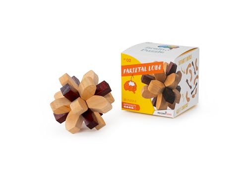 Wooden brain teaser puzzle and its box, with brain illustration.